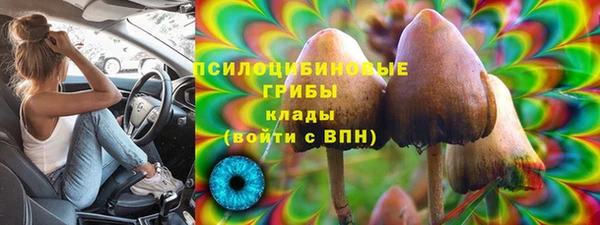 соль курить ск Алзамай