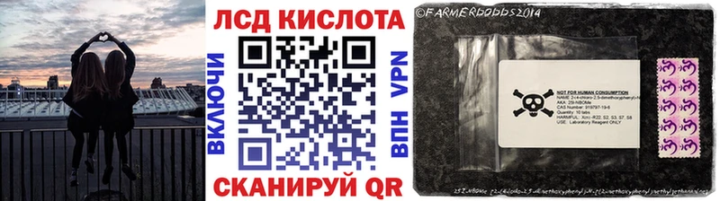 где найти   Сим  Марки NBOMe 1,5мг 